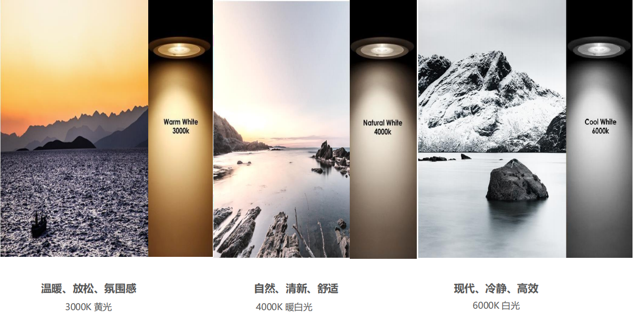 【設(shè)計案例】普照國康醫(yī)藥辦公室項目概念設(shè)計——以空間敘事，筑品牌基因(圖26)